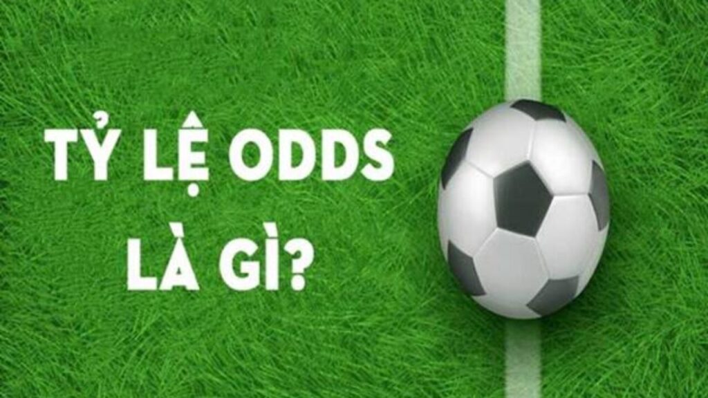 Những giai đoạn cơ bản trong trận Odds là gì? Những giai đoạn cơ bản trong trận Odds là gì?