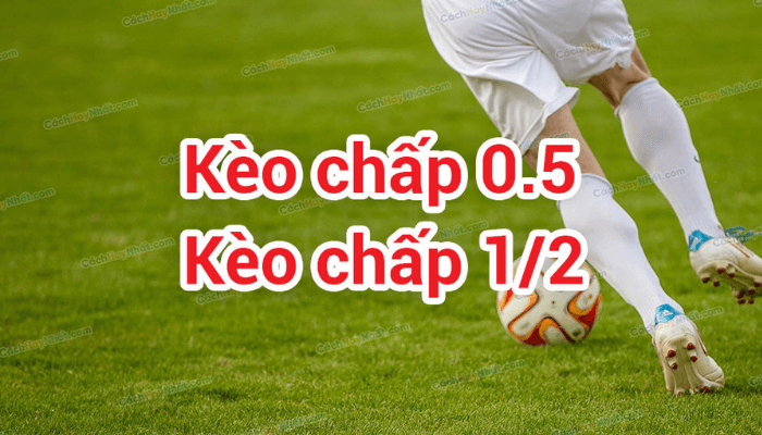 Hướng dẫn cách cược kèo ½ dễ thắng Hướng dẫn cách cược kèo ½ dễ thắng