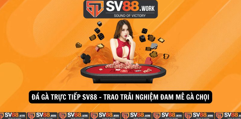 Các loại cược đá gà tại sv88