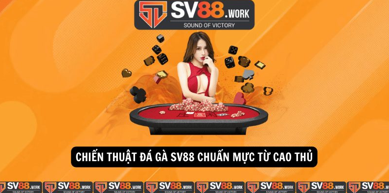 Lưu ý khi tham gia đá gà tại SV88
